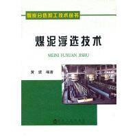 煤泥浮选技术/黄波 商品图0