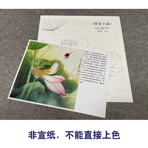 【有步骤、大彩图】李晓明工笔画白描底稿斗方小品《荷花》初学者临摹花鸟线稿KE11 商品图2