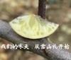 藏区 雪山礼·苹果 顺丰包邮 商品缩略图7