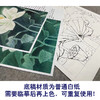 【有步骤、大彩图】李晓明工笔画白描底稿斗方小品《冷艳清华》荷花初学者临摹花鸟线稿KE06 商品缩略图3