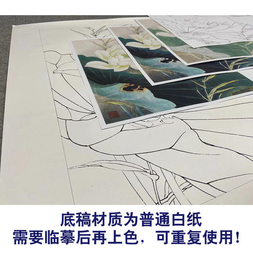 【有步骤、大彩图】李晓明工笔画白描底稿斗方小品《白荷亭亭》荷花蜜蜂初学者临摹花鸟线稿KE04 商品图3
