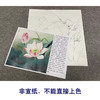 【有步骤、大彩图】李晓明工笔画白描底稿斗方小品《水上芙蓉》荷花初学者临摹花鸟线稿KE07 商品缩略图2