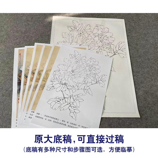 【有步骤、大彩图】李晓明工笔画白描底稿《二乔逢春》牡丹初学者临摹花鸟线稿KD12 商品图1