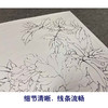 【有步骤、大彩图】李晓明工笔画白描底稿斗方小品《玉立春风》牡丹初学者临摹花鸟线稿KD21 商品缩略图4