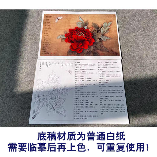 【有步骤、大彩图】李晓明工笔画白描底稿《王红白粉蝶》牡丹初学者临摹花鸟线稿KD18 商品图3