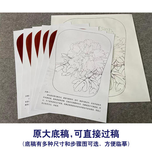 【有步骤、大彩图】李晓明工笔画白描底稿宫扇小品《玉板白》牡丹初学者临摹花鸟线稿KD10 商品图1