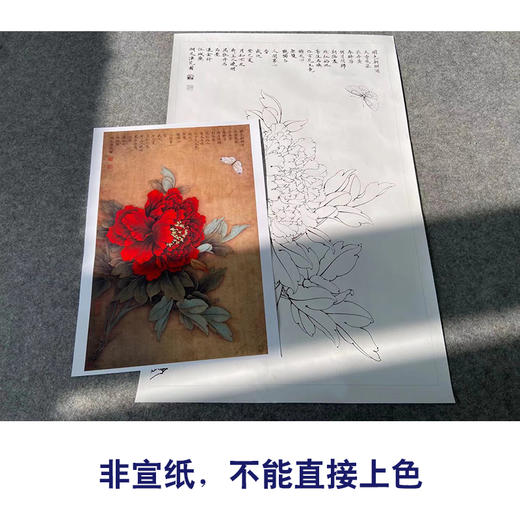 【有步骤、大彩图】李晓明工笔画白描底稿《王红白粉蝶》牡丹初学者临摹花鸟线稿KD18 商品图2