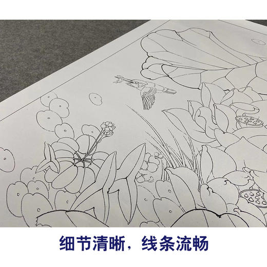 【有步骤、大彩图】李晓明工笔画白描底稿斗方小品《白荷蓝翠图》荷花翠鸟初学者临摹花鸟线稿KE03 商品图4