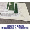 【有步骤、大彩图】李晓明工笔画白描底稿《牡丹图》初学者临摹花鸟线稿KD37 商品缩略图3