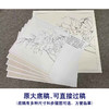 【有步骤、大彩图】李晓明工笔画白描底稿斗方小品《牡丹洛阳春》牡丹初学者临摹花鸟线稿KD31 商品缩略图1