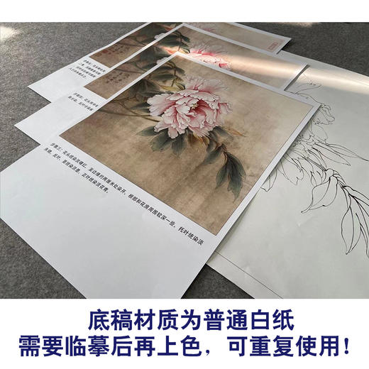 【有步骤、大彩图】李晓明工笔画白描底稿斗方小品《牡丹洛阳春》牡丹初学者临摹花鸟线稿KD14 商品图3