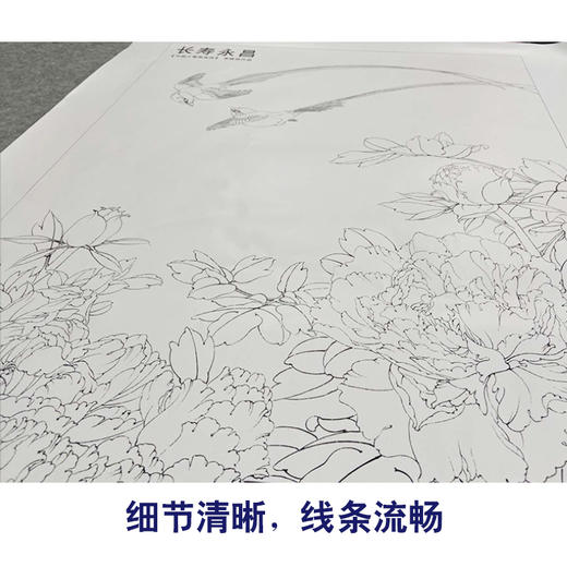 【有步骤、大彩图】李晓明工笔画白描底稿《长寿永昌》牡丹寿带鸟初学者临摹花鸟线稿KD24 商品图4