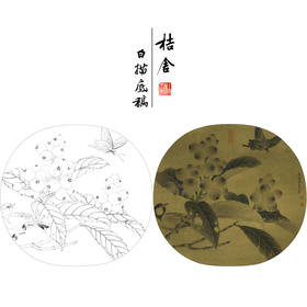 【有步骤、大彩图】李晓明工笔画白描底稿圆形小品《临宋枇杷山鸟图》枇杷蝴蝶初学者临摹花鸟线稿KC33