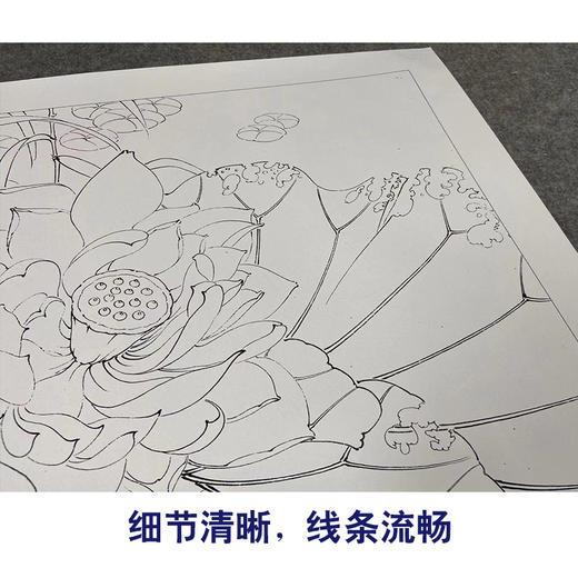 【有步骤、大彩图】李晓明工笔画白描底稿小品《千瓣莲》荷花初学者临摹花鸟线稿KE13 商品图4