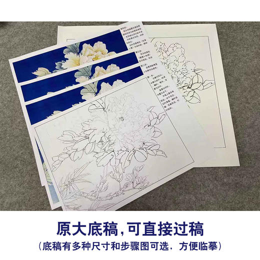 【有步骤、大彩图】李晓明工笔画白描底稿小品《雏鹅黄》牡丹初学者临摹花鸟线稿KD36 商品图1
