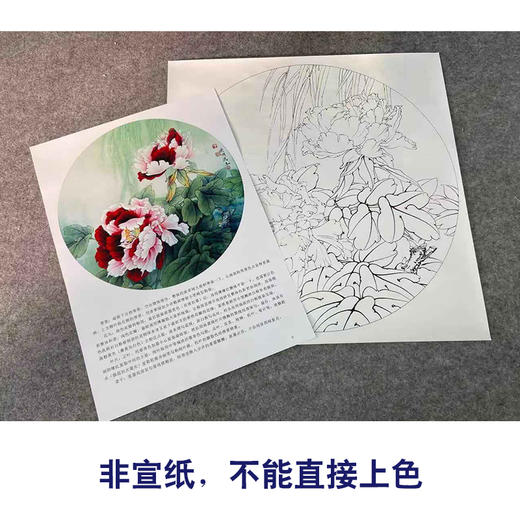 【有步骤、大彩图】李晓明工笔画白描底稿小品《二乔春色》牡丹初学者临摹花鸟线稿KD01 商品图2