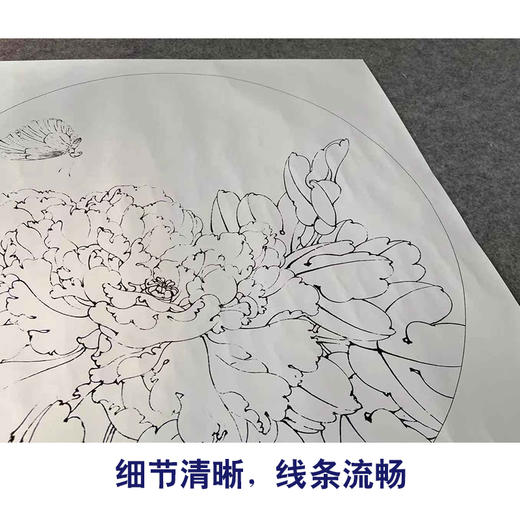 【有步骤、大彩图】李晓明工笔画白描底稿圆形小品《牡丹蛱蝶图》牡丹初学者临摹花鸟线稿KD02 商品图4