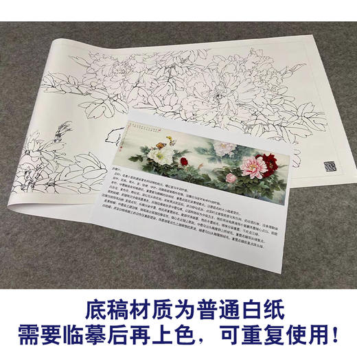 【有步骤、大彩图】李晓明横幅工笔画白描底稿《名花倾国》牡丹花初学者临摹花鸟线稿KD40 商品图3