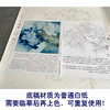 【有步骤、大彩图】李晓明工笔画白描底稿斗方小品《重绘独舞花间》牡丹鹦鹉初学者临摹花鸟线稿KD22 商品缩略图3