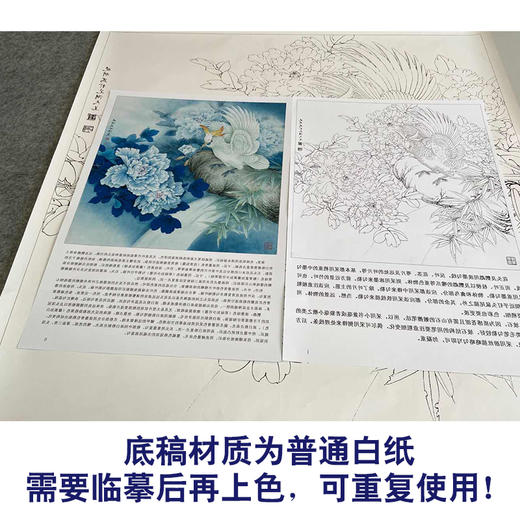 【有步骤、大彩图】李晓明工笔画白描底稿斗方小品《重绘独舞花间》牡丹鹦鹉初学者临摹花鸟线稿KD22 商品图3