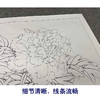 【有步骤、大彩图】李晓明工笔画白描底稿斗方小品《姚黄》牡丹初学者临摹花鸟线稿KD34 商品缩略图4