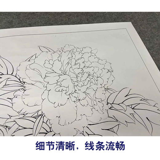【有步骤、大彩图】李晓明工笔画白描底稿斗方小品《姚黄》牡丹初学者临摹花鸟线稿KD34 商品图4