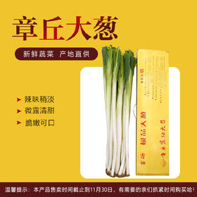 【章丘大葱】高白脆甜 富硒 葱白长 10斤礼盒装 包邮