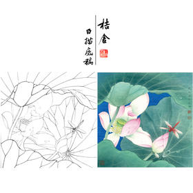 【有步骤、大彩图】李晓明工笔画白描底稿斗方小品《心莲若梦》荷花蜻蜓初学者临摹花鸟线稿KE08