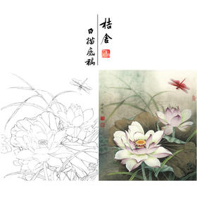 【有步骤、大彩图】李晓明工笔画白描底稿小品《紫荷红蜻蜓》荷花初学者临摹花鸟线稿KE09