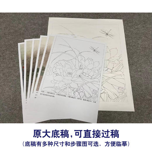 【有步骤、大彩图】李晓明工笔画白描底稿小品《紫荷红蜻蜓》荷花初学者临摹花鸟线稿KE09 商品图1