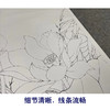 【有步骤、大彩图】李晓明工笔画白描底稿《荷花红蜻蜓图》初学者临摹花鸟线稿KE14 商品缩略图4