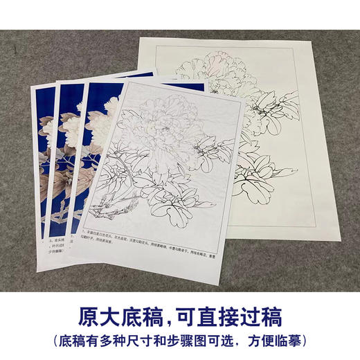【有步骤、大彩图】李晓明工笔画白描底稿《羊脂白》牡丹花初学者临摹花鸟线稿KD42 商品图1