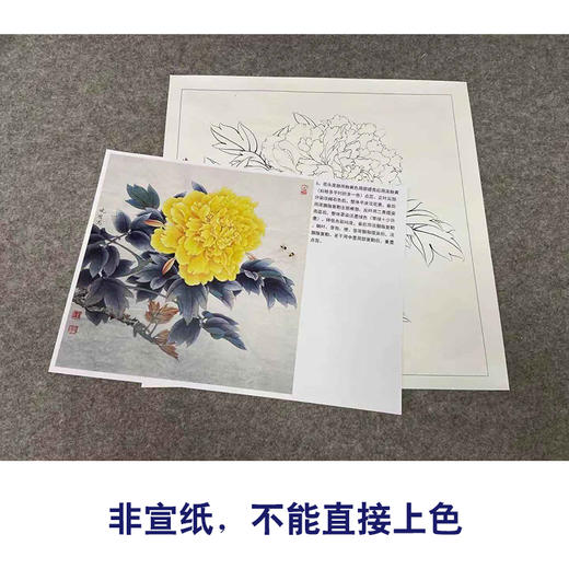【有步骤、大彩图】李晓明工笔画白描底稿斗方小品《姚黄》牡丹初学者临摹花鸟线稿KD34 商品图2