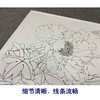 【有步骤、大彩图】李晓明工笔画白描稿底小品《凤丹白蛱蝶》牡丹蝴蝶初学者临摹花鸟线稿KD35 商品缩略图4