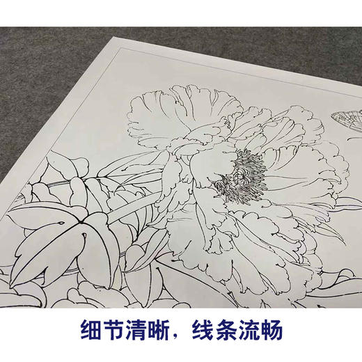 【有步骤、大彩图】李晓明工笔画白描稿底小品《凤丹白蛱蝶》牡丹蝴蝶初学者临摹花鸟线稿KD35 商品图4