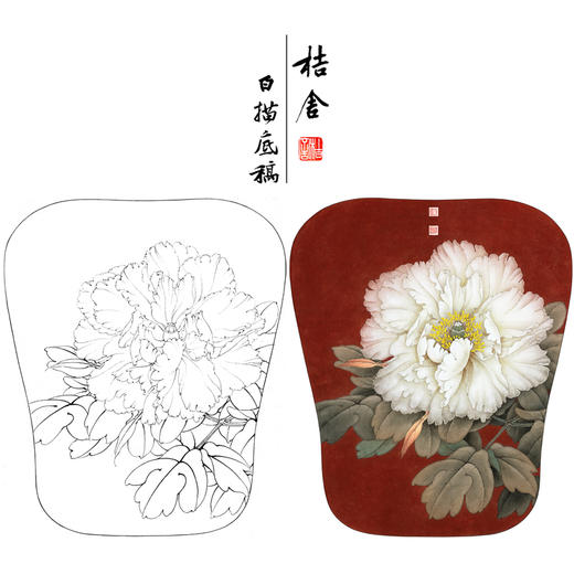 【有步骤、大彩图】李晓明工笔画白描底稿宫扇小品《玉板白》牡丹初学者临摹花鸟线稿KD10 商品图0