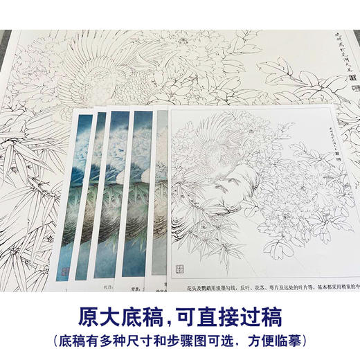 【有步骤、大彩图】李晓明工笔画白描底稿斗方小品《重绘独舞花间》牡丹鹦鹉初学者临摹花鸟线稿KD22 商品图1