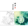 【有步骤、大彩图】李晓明工笔画白描底稿斗方小品《玉立春风》牡丹初学者临摹花鸟线稿KD21 商品缩略图0