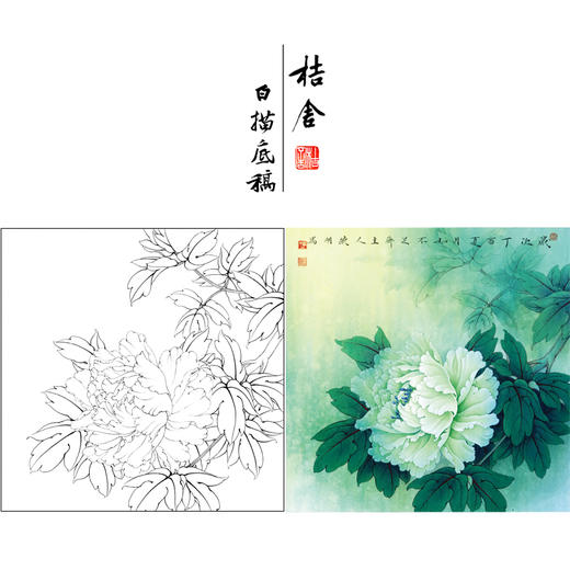 【有步骤、大彩图】李晓明工笔画白描底稿斗方小品《玉立春风》牡丹初学者临摹花鸟线稿KD21 商品图0