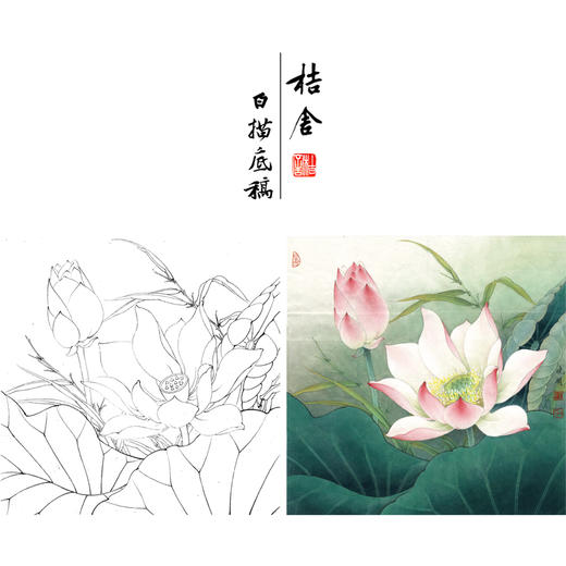 出水芙蓉的绘画四步骤图片