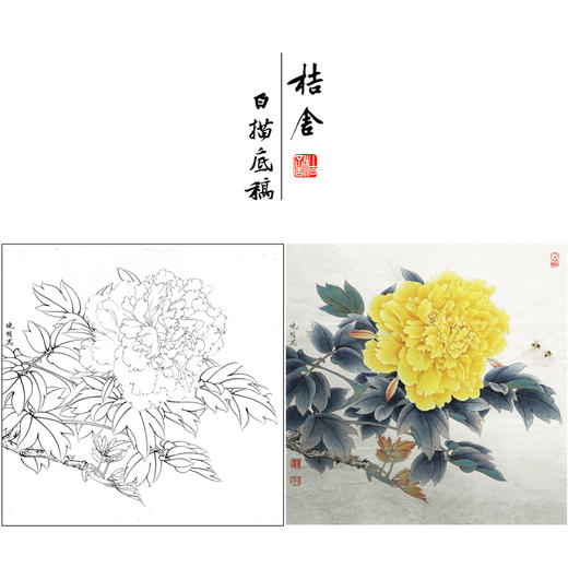 【有步骤、大彩图】李晓明工笔画白描底稿斗方小品《姚黄》牡丹初学者临摹花鸟线稿KD34 商品图0