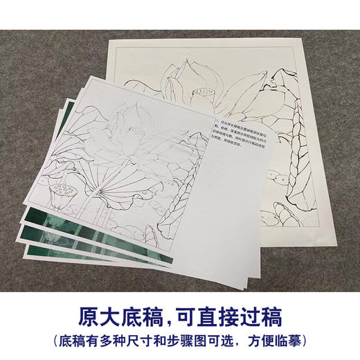 【有步骤、大彩图】李晓明工笔画白描底稿斗方小品《冷艳清华》荷花初学者临摹花鸟线稿KE06 商品图1