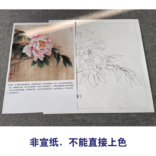 【有步骤、大彩图】李晓明工笔画白描底稿斗方小品《牡丹洛阳春》牡丹初学者临摹花鸟线稿KD14 商品图2