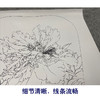 【有步骤、大彩图】李晓明工笔画白描底稿宫扇小品《香玉》牡丹初学者临摹花鸟线稿KD09 商品缩略图4