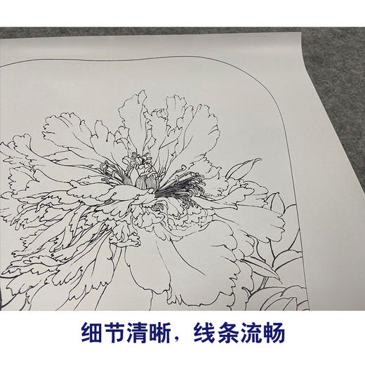 【有步骤、大彩图】李晓明工笔画白描底稿宫扇小品《香玉》牡丹初学者临摹花鸟线稿KD09 商品图4