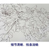 【有步骤、大彩图】李晓明工笔画白描底稿《富贵蝶来图》牡丹蝴蝶初学者临摹花鸟线稿KD19 商品缩略图4