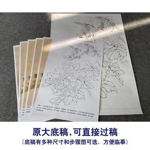 【有步骤、大彩图】李晓明工笔画白描底稿《五月王红》牡丹雀鸟初学者临摹花鸟线稿KD15 商品图1