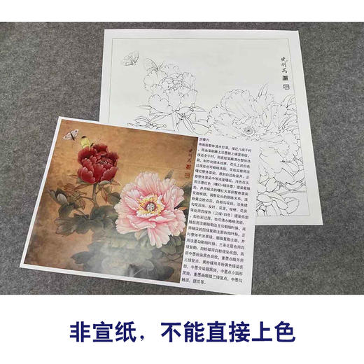 【有步骤、大彩图】李晓明工笔画白描底稿斗方小品《飞艳红妆》牡丹初学者临摹花鸟线稿KD28 商品图2