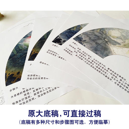 【有步骤、大彩图】李晓明工笔画白描底稿扇面小品《荷塘晓雾》荷花初学者临摹花鸟线稿KE01 商品图1