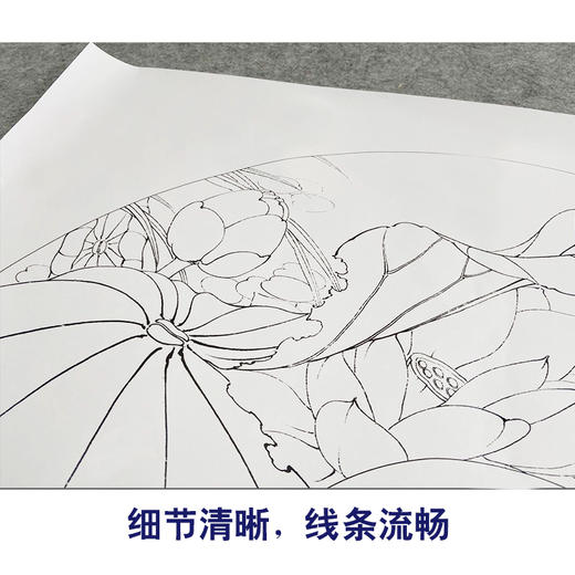 【有步骤、大彩图】李晓明工笔画白描底稿扇面小品《荷塘晓雾》荷花初学者临摹花鸟线稿KE01 商品图4